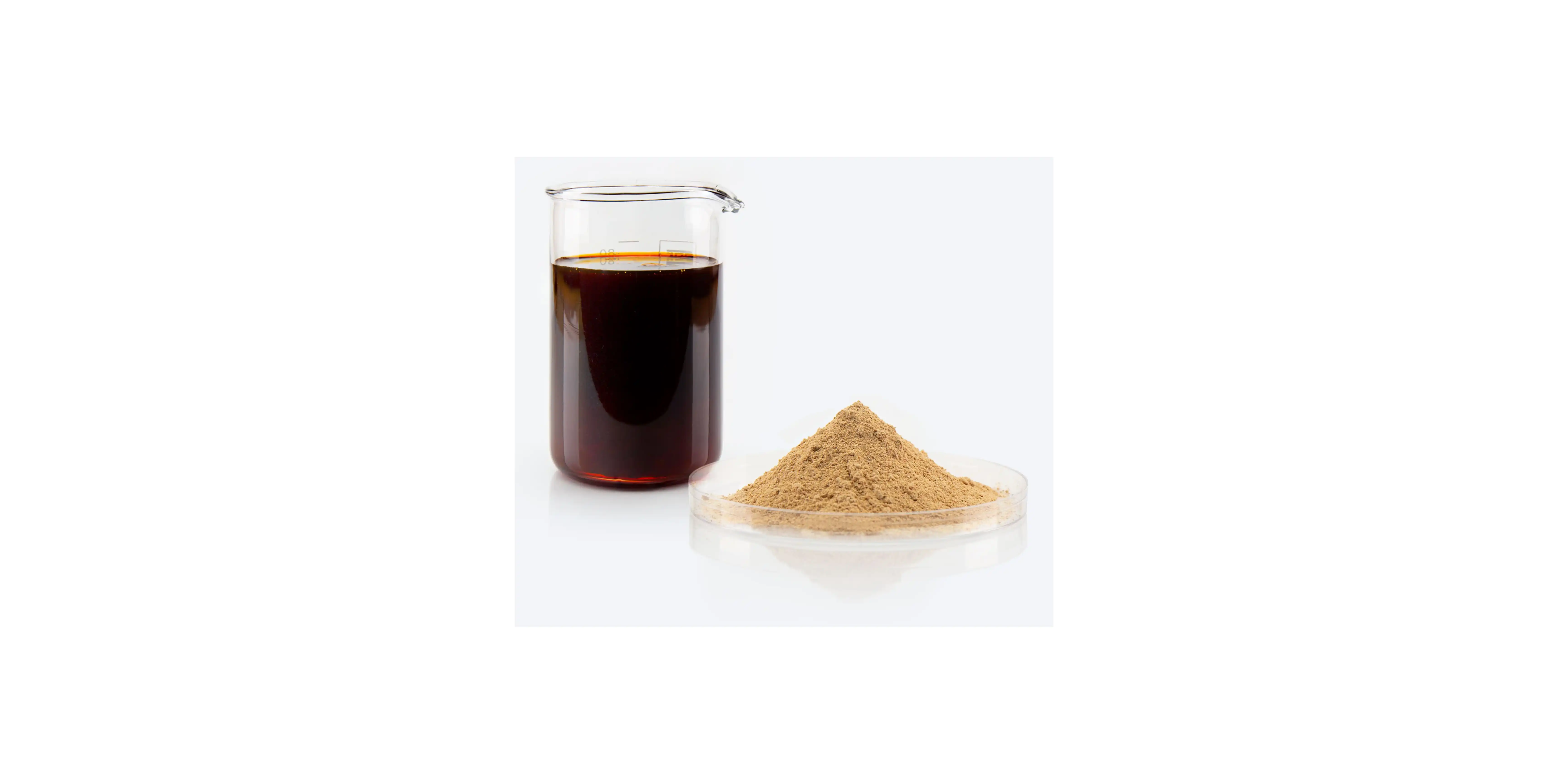How Hydrolyzed Krill Protein Supports Joint Health?